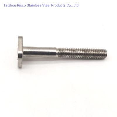 DIN/GB/ASTM SS304/316 Hardware Fastener Support Customed/Print Square Bolt