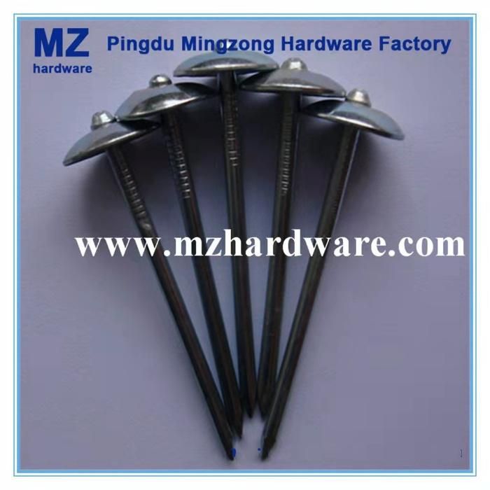 China Bwg9*2.5" Twisted Shank Roofing Nail