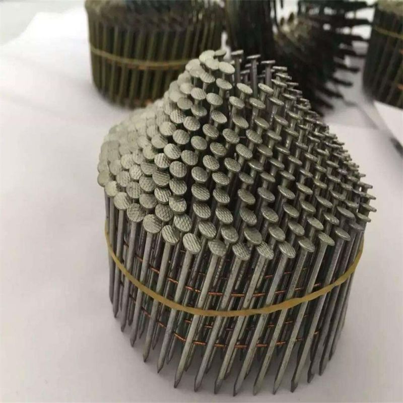 Threaded Nail Smooth Rod Smooth Nail Ring Spiral Tray Nail