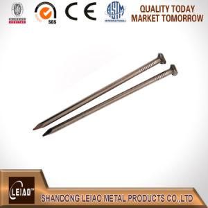 China Common Round Head Nails