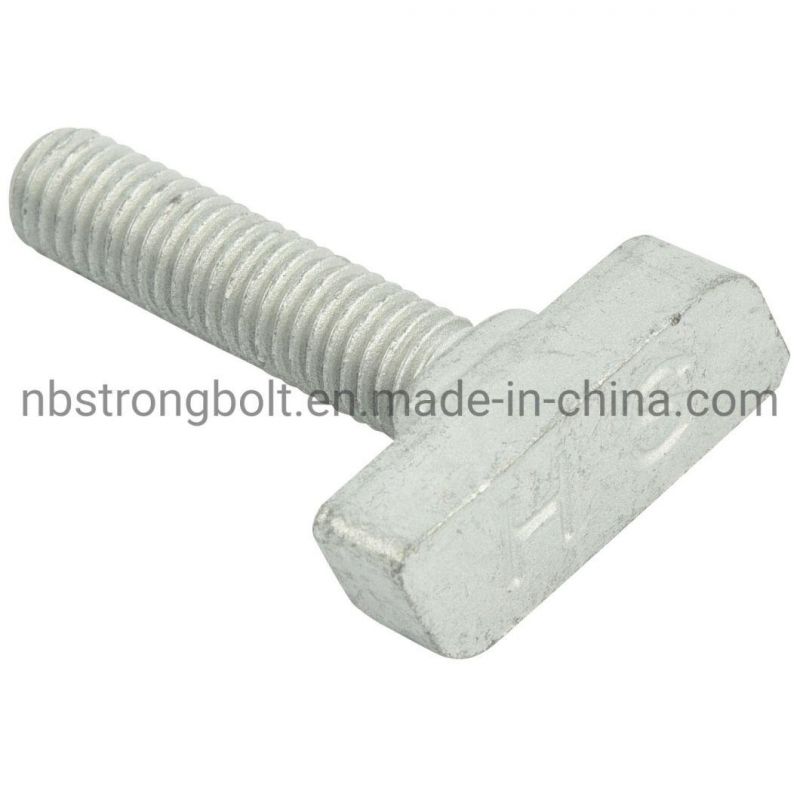 Customization Custmized Bolt Square Head Bolt Screw