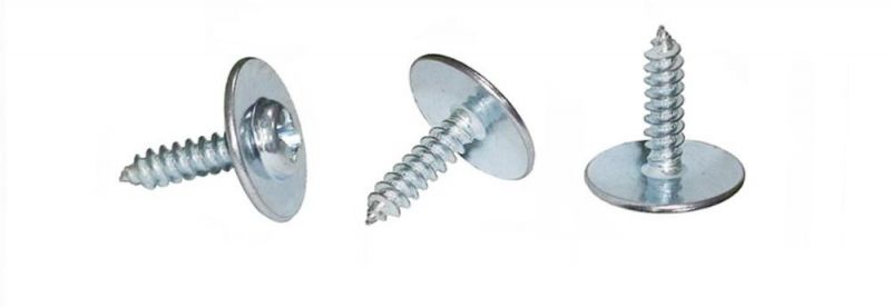 Cross Recess Round Head Large/Big Washer Self-Tapping Screw