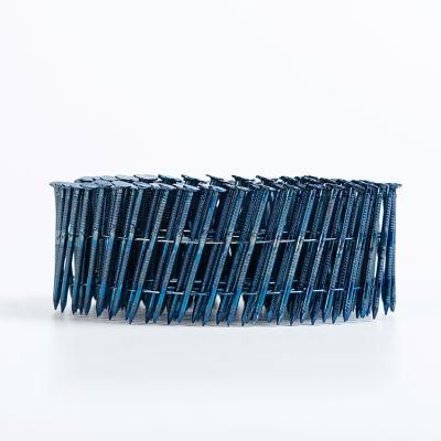 Blue Coated Diamond Point Ring Coil Nails Supplier