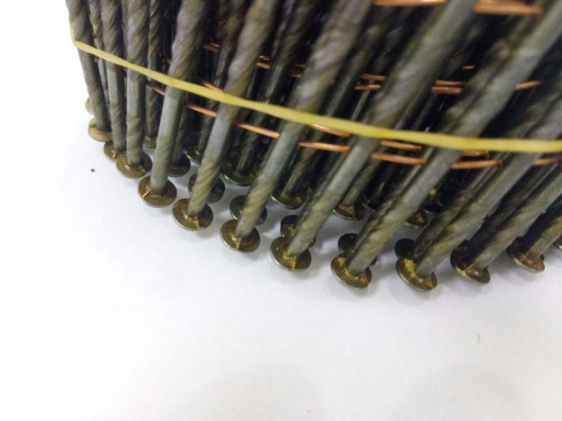 Wire Collated Coil Nail for Making Wooden Pallet and Frame in Size 2.5mm X 65mm