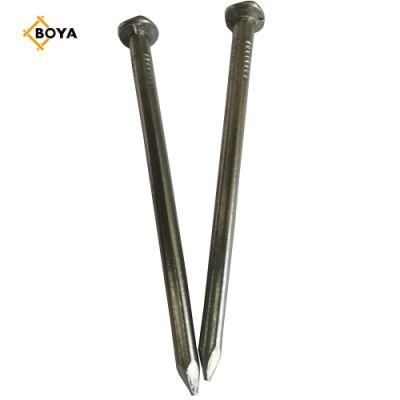 Polished Common Iron Wire Nail for Building and Construction Made in China