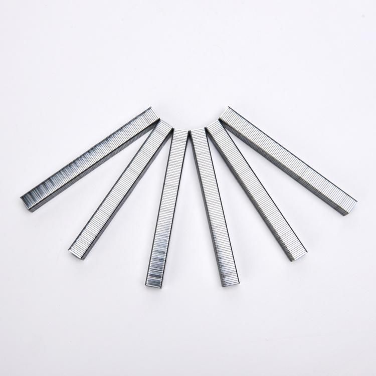 Galvanized Staples 80 Series Staples for Furniture Industry