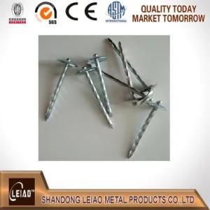 Clavos Galvanized Umbrella Head Roofing Nail