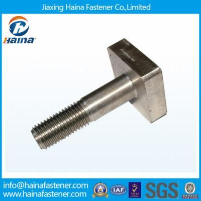 M4~M52 Stainless Steel 316 304 Square Head T Bolt