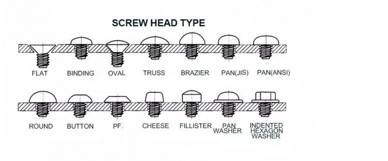 Top Selling Best Price Available Drywall Screw for Industrial Use Durable Long Life Sustainable Screws