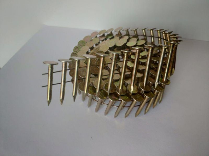 High Quality Galvanized Roofing Coil Nails Large Head From China Dezhou