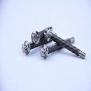 Customized 12 Point Flange Head Titanium Bolt