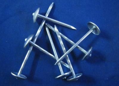 Zinc Coated Electric Galvanized Concrete Steel Nails with White Blue Color