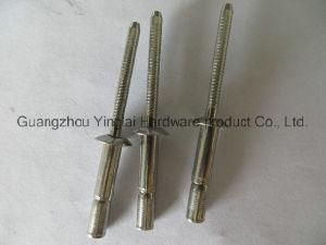 Stainless Steel Cup-Fix Type Rivet/Monobolt Blind Rivet