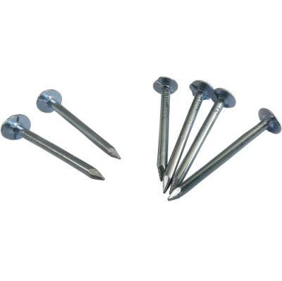 7/8&quot;Best Selling Roofing Nail/Clout Nail Iron Wire Large Flat or Checkered Head From China Factory