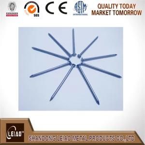 China Common Wire Nails Factory