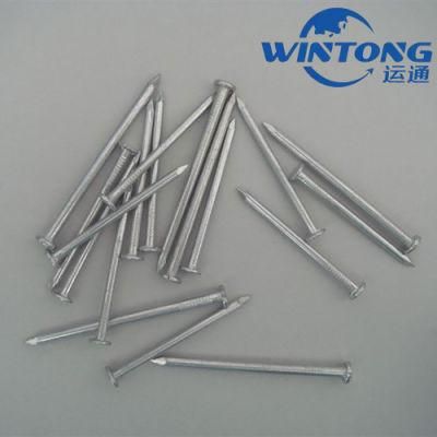 Construction Site Iron Nail/Common Round Nail/Building Template Nail