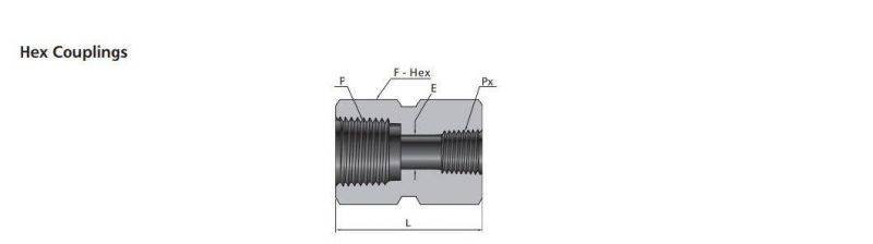 Hikelok NPT BSPP Swagelok Type Male Female Pipe Fittings Hex Coupling