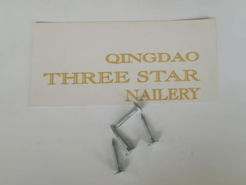 Cheap Price Galvanized Ceiling Nails/Clout Nails/Manufactures Flet Nails