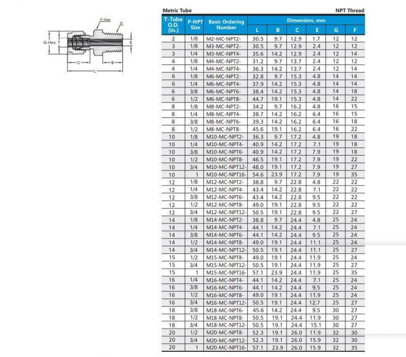 Hikelok Male 1/16 in to 1 Inch NPT Thread Swagelok Type Tube Fittings Male Connector