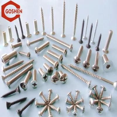 Variety Kinds of SS304 Screw Provide by Manufacturer