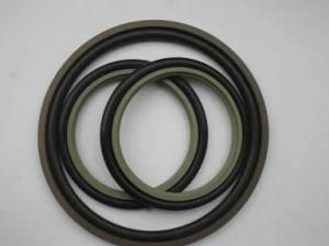 Auto Parts Polytetrafluoroethylene Glyd Ring with Best Quality