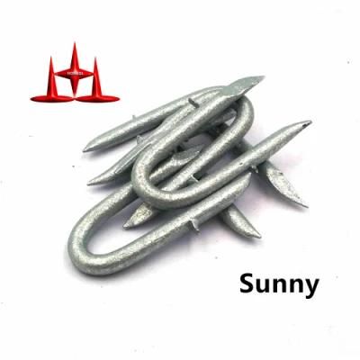 HDG Barbed Fencing U Type Staple Nail Steel U Nail Fixings From Tianjin Factory