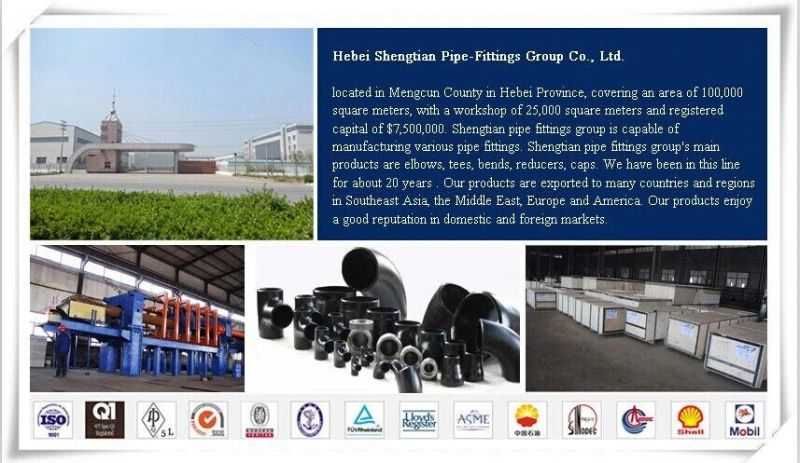 Carbon Steel/Stainless Steel Forged Threaded Flange