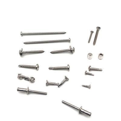 Stainless Steel 316 Tapping Screw Ss 304 DIN 7981 Pan Head Self Tapping Screws A2 Tapping Screws A4 Tapping Screws