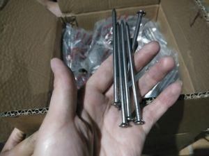 Wire Nail Common Iron Nails 1kg/Poly Bag Packing