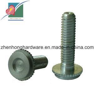 Machine Using Bolt Stainless Steel Bolts for Machines