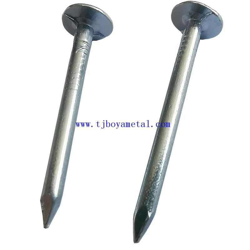 Common Round Nail Iron Wire Nails for Wood Building Construction with Flat Head Metal Clout Nails