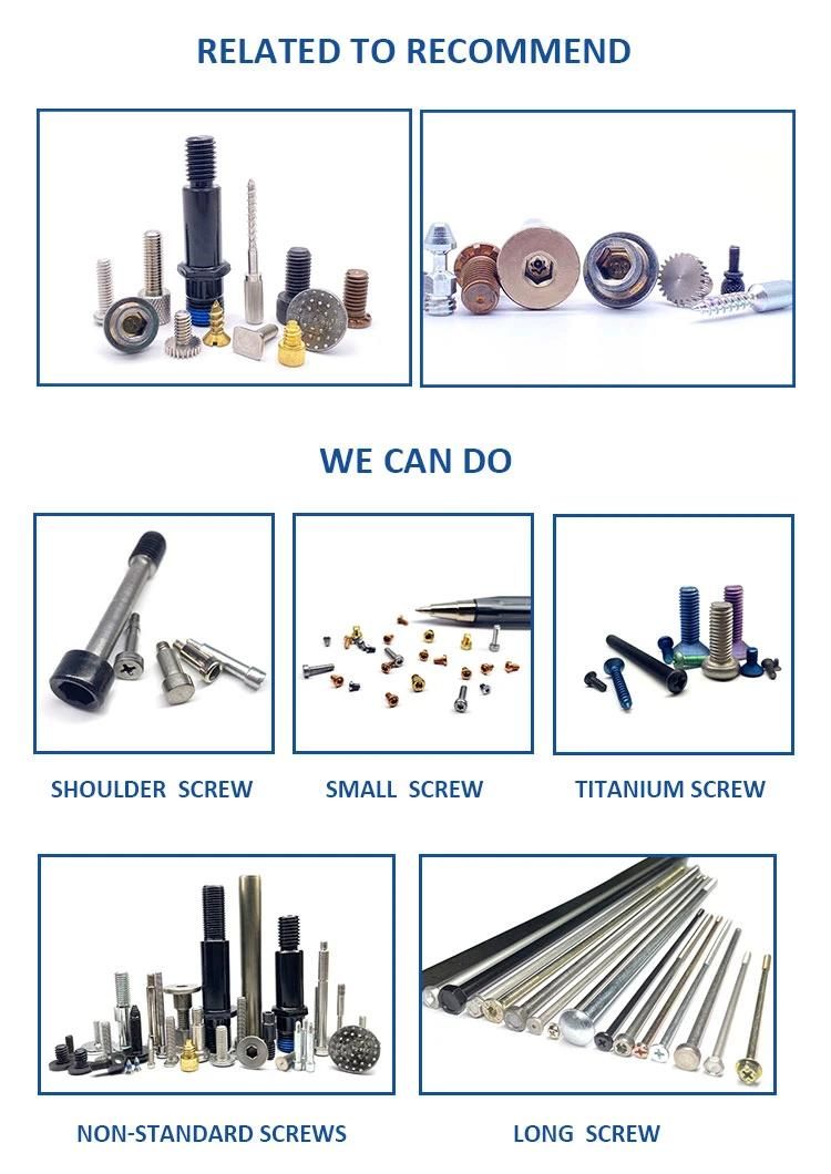 Stainless Steel Cap Head Hexagon Socket Allen Combination Sems Screws with Washers