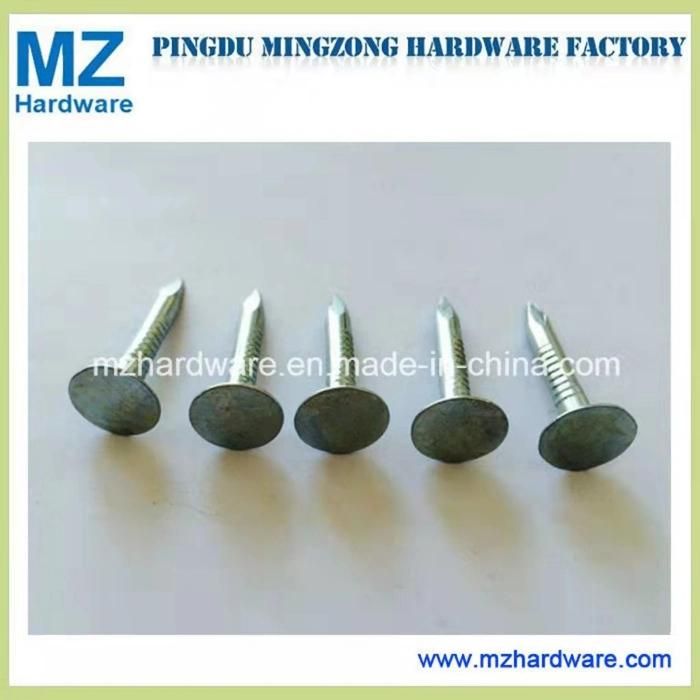 Big Head Flat Head Clout Roofing Nail Electro-Galvanized Clout Nail Roofing Nail