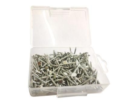 Polished Common Iron Wire Nails Production Wire Nails Manufacture in China