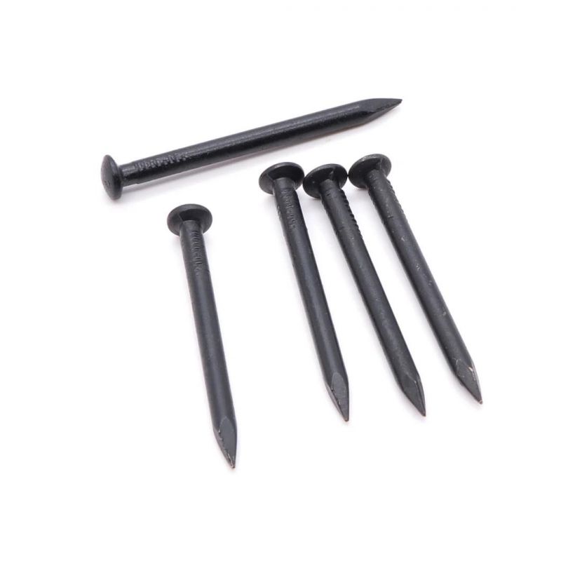 Professional Angular Spiral Steel Concrete Nails Wire Nail Suppliers