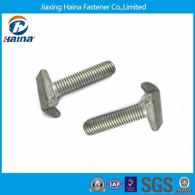 Stainless Steel 304 Grade 8.8 Hot Galvanizing T Bolt