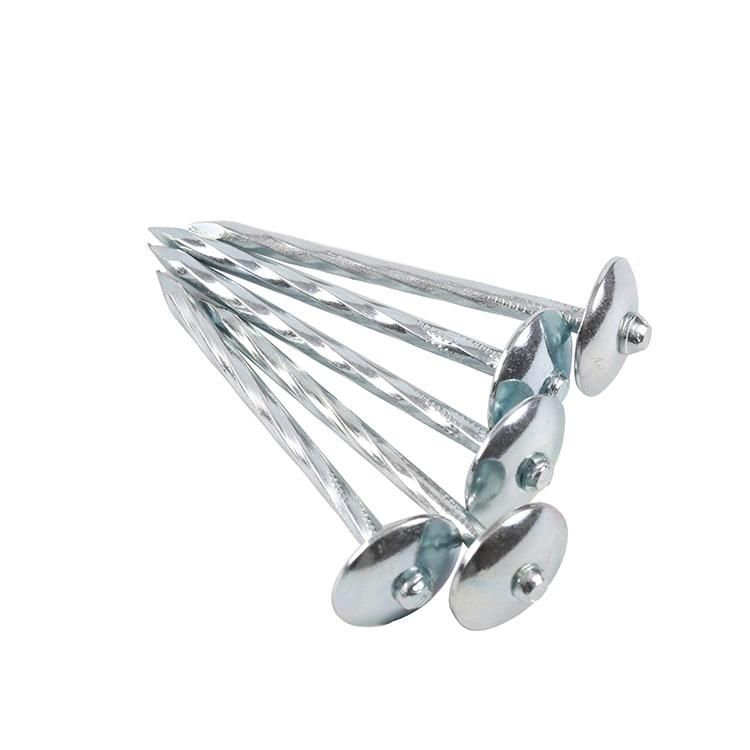 Big Umbrella Head Roofing Nail with Smooth/Twist Shank