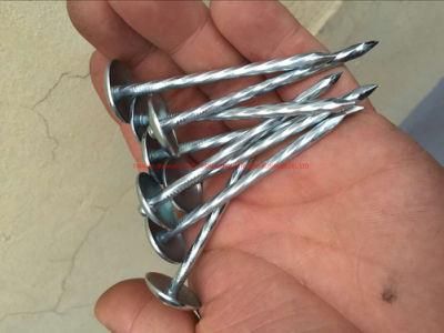 Galvanised Size: 2 1/2&quot; X 9ga 25kg Box Roofing Nails Umbrella Head