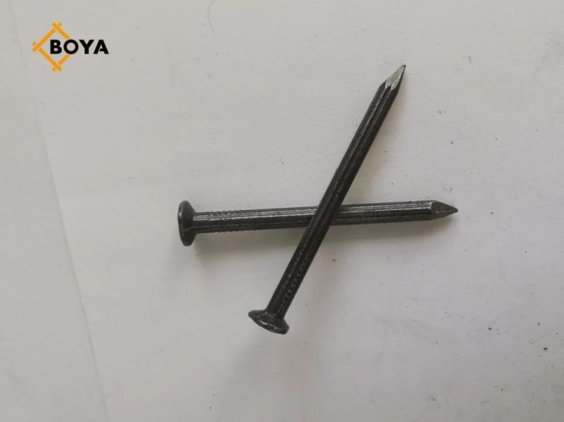 Manufacturer Concrete Nails with Oil