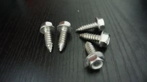 Hexagon Washer Head Self Tapping Screw in Stainless Steel