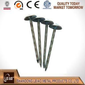China Umbrella Roofing Nail