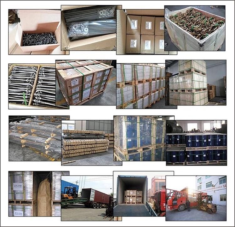 Round Head Self Drilling Screws PPA Type Screw
