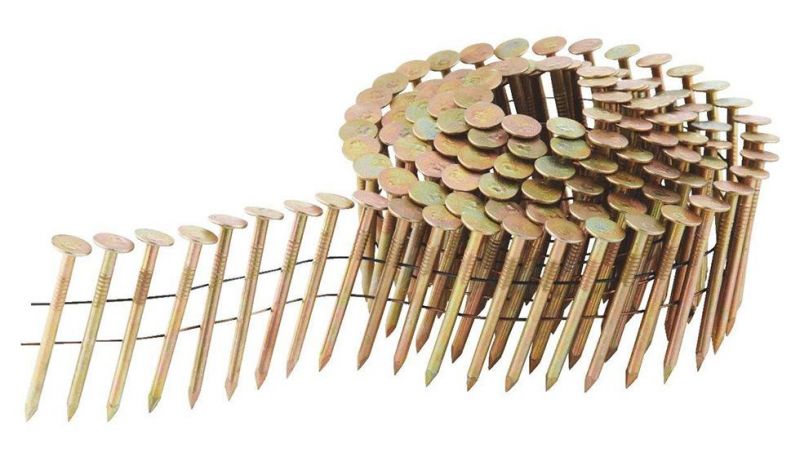 Electro Galvanized Smooth Shank Coil Roofing Nails