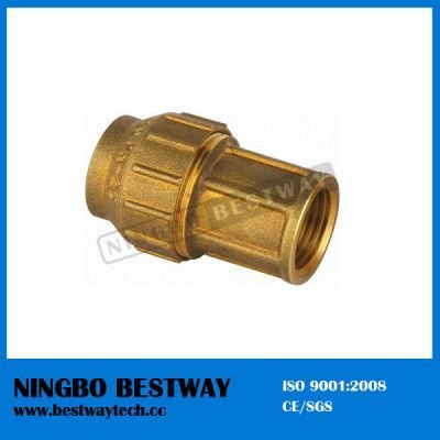Hot Sale Brass Compression Fitting (BW-302)