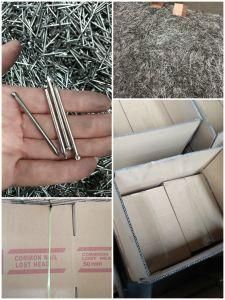 Iron Nail for Wood