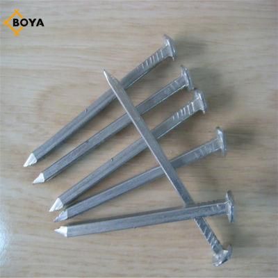 Boat Nails China Supplier Cheap Square Boat Nail