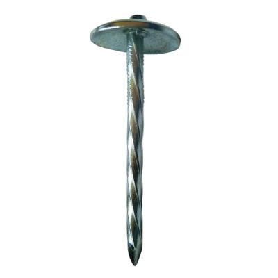 Chinese Manufacture Q195 Steel Umbrella Head Roofing Nail