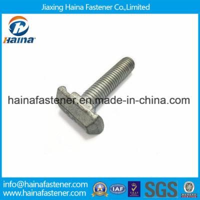 Stainless Steel 304 Grade 8.8 Hot Galvanizing T Bolt