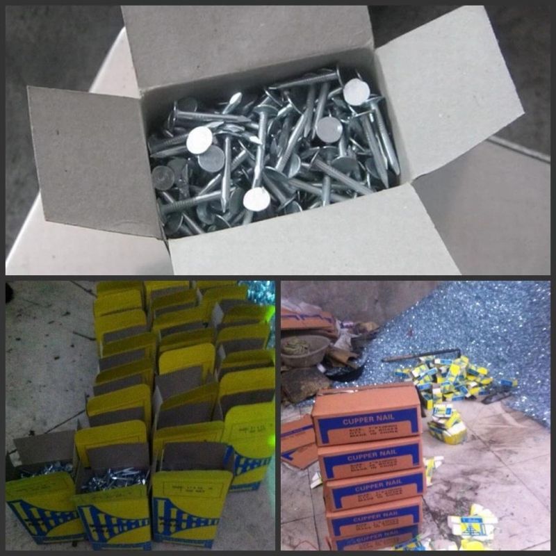 Ring Shank Steel Wire Common Nails with Factory Price