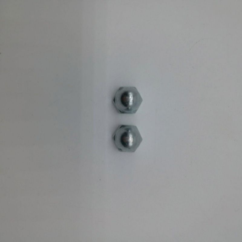 Stainless Steel SS304 Cap Nut Cap Nut